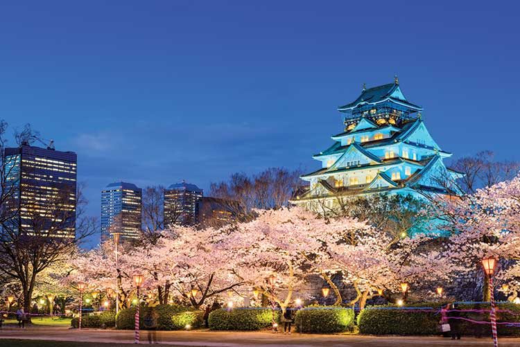 研究發現多達10個地區對角逐日本IR感興趣，川崎及濱松亦有興趣