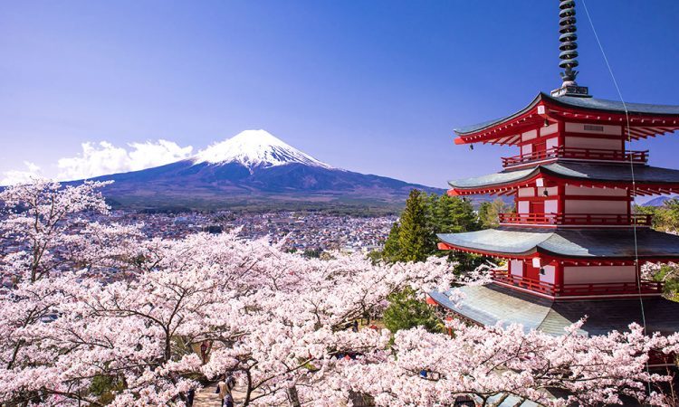 日本公佈綜合度假村基本政策草案