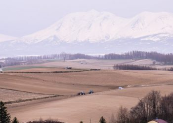 賽馬育種公司Northern Farm將苫小牧市角逐IR捐贈土地