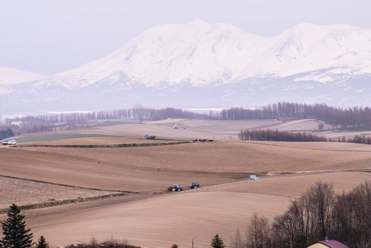 賽馬育種公司Northern Farm將苫小牧市角逐IR捐贈土地