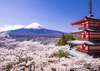 日本賭場管理委員會將於2020年1月7日成立