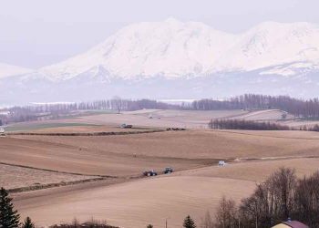 北海道達成IR競逐決定的路程仍然迢遠
