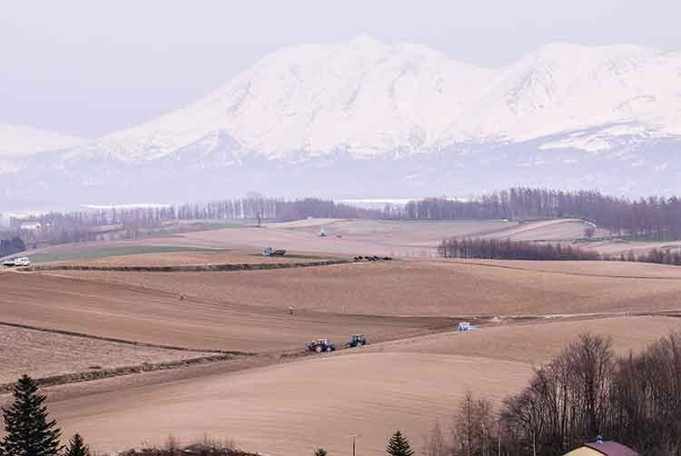 北海道達成IR競逐決定的路程仍然迢遠
