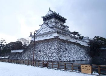 北九州或加入競逐IR賽道
