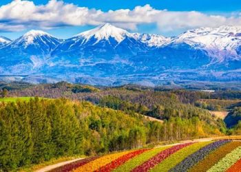 北海道IR的環境評估或需要三年