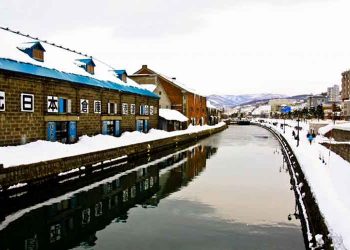 北海道商界團體堅持當地IR夢仍未結束