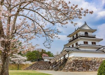 宮城縣考慮競標IR，但30億美元的預計投資額引發擔憂