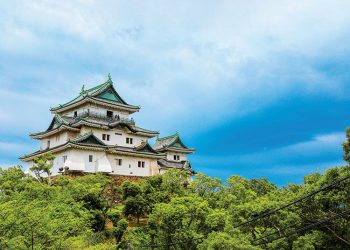 和歌山啟動運營商招募程序