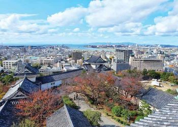 和歌山IR運營商遴選委員會成員辭職