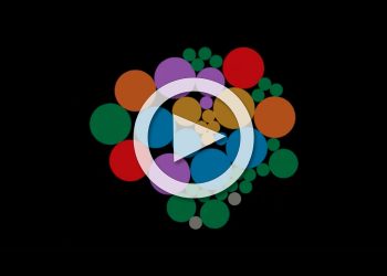 2020年澳門娛樂場一覽