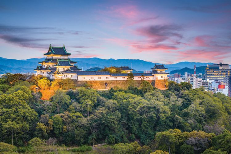 和歌山IR制衡