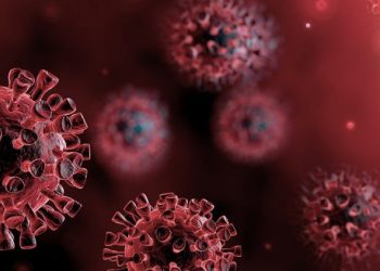 澳門科學家概述新冠疫苗獲突破之重要性