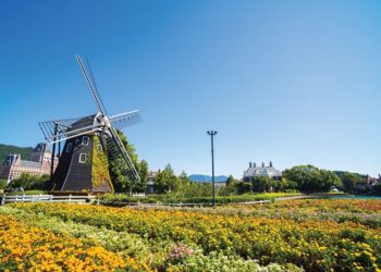 威華達任命Keigo Nakatani為日本公司的首席運營官