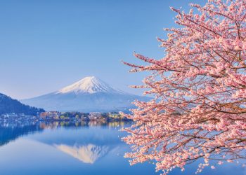 2021：日本 IR 關鍵時刻（下）