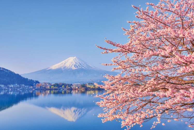 2021：日本 IR 關鍵時刻（下）