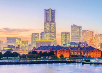 反綜合度假村的動物權益組織理事藤村晃子宣佈有意角逐橫濱市長大位