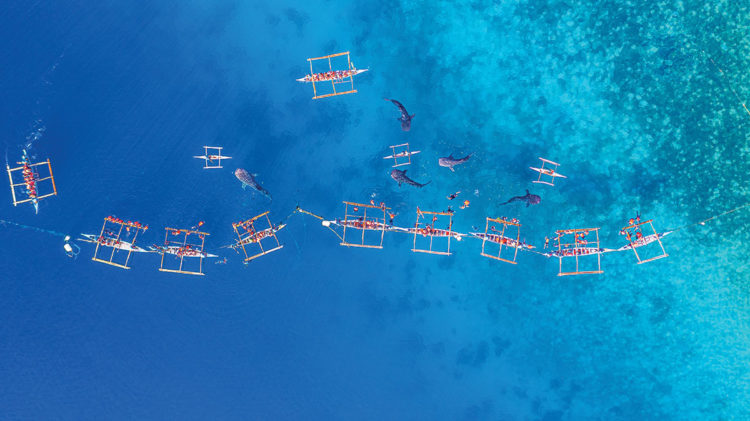 編者寄語: 亞洲新秀菲律賓