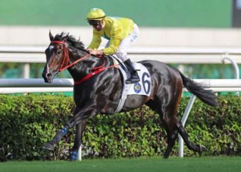 香港賽馬會2021/2022年度馬季投注額逾1,400億港元