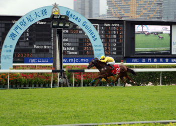 澳門賽馬會：新賽季獲得政府批准