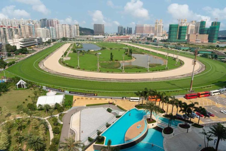 澳門議員提議,將賽馬場發展成為運動休閒目的地