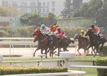 澳門議員稱，收到大量賽馬會員工之求助