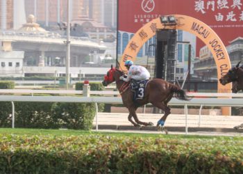 澳門賽馬會馬主向特區政府發出公開信，要求賽馬會賠償損失