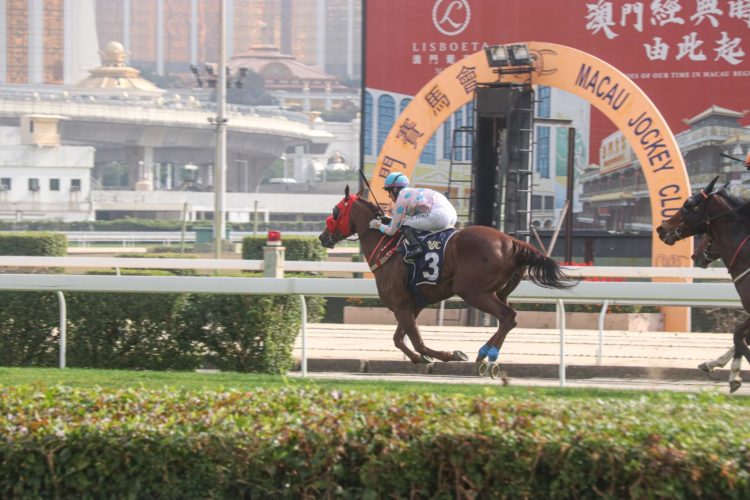 澳門賽馬會馬主向特區政府發出公開信,要求賽馬會賠償損失