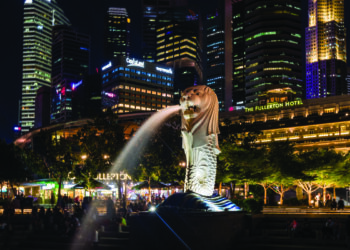 編者寄語獅王蟄伏