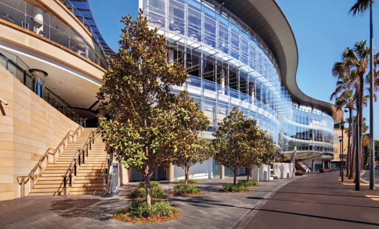 編者寄語等待遊戲