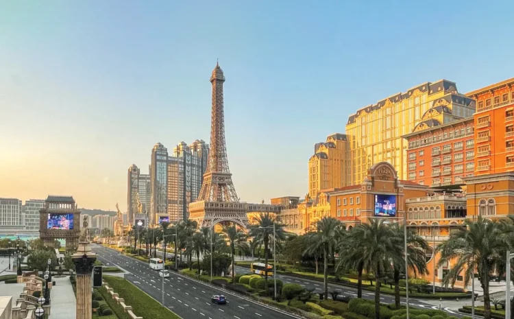 推廣成本兩難選市佔率還是選利潤？