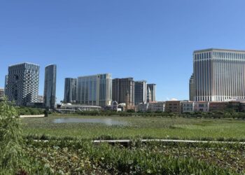 澳門11月賭收同比增長14.4%達211億澳門元